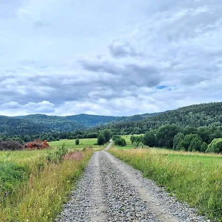 Zboja -