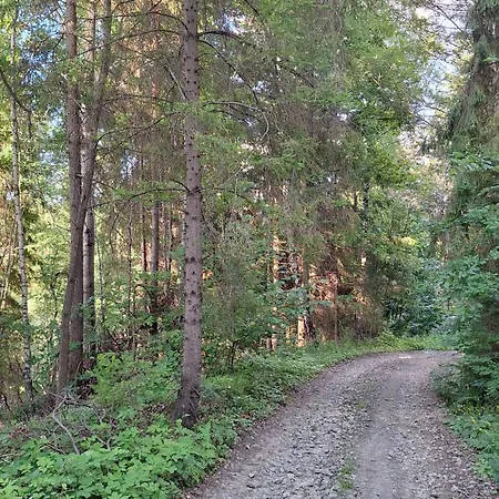 Zboja - Sidzina